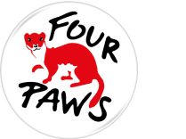 Four Paws